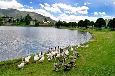 ペンション Aventureiro Pousada