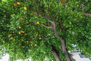 Hotelli Le Blanc Inn & Suites