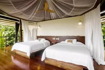 ユースホステル La Loma Jungle Lodge And Chocolate Farm