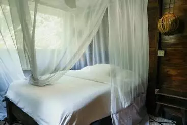 ユースホステル La Loma Jungle Lodge And Chocolate Farm