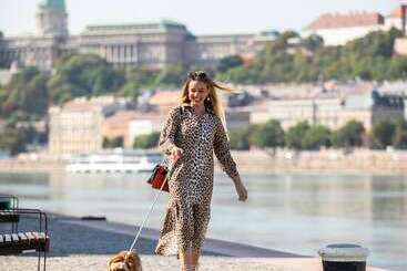 בית מלון כפרי T62