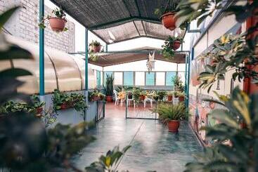 Hospedaria Mama Backpackers