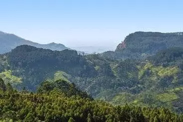 Anasa Wellness Resort