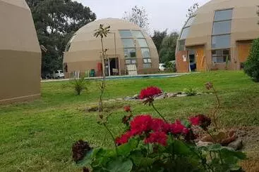 ホテル Domos Dream