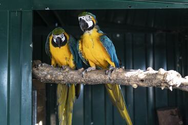 住宿加早餐 Terre De Reve