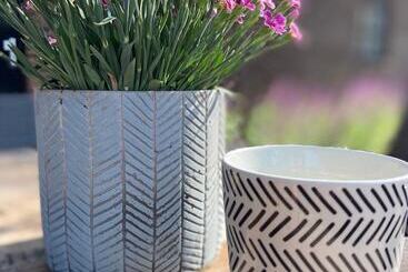 ベッドアンドブレックファースト Hostellerie Horst