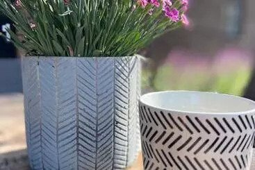 Bed and Breakfast Hostellerie Horst