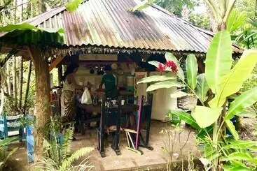 Tasty Dayz Hostel