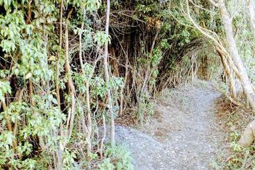 Apartmanszálloda Terrazas De Nercon