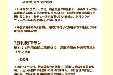 Пансион Cat Cafe & Stay Cultus S Home