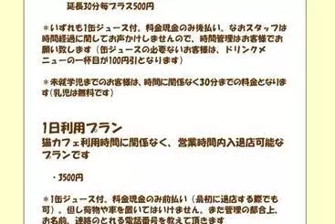 Pensió Cat Cafe & Stay Cultus S Home