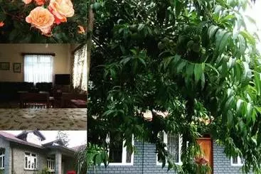 Bed and Breakfast Denzong House