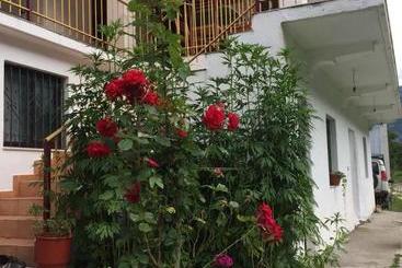 Majatalo Bujtina Kometa