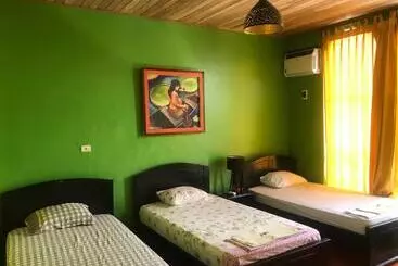 Pension Amazon Dream Hostel With Ac And Starlink