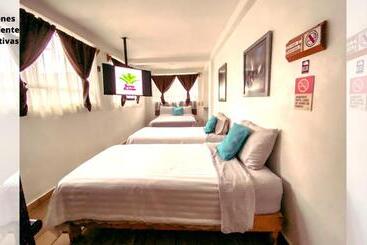 הוסטל Suites Aldama