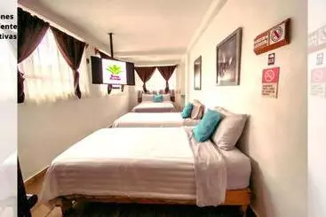 Herberge Suites Aldama