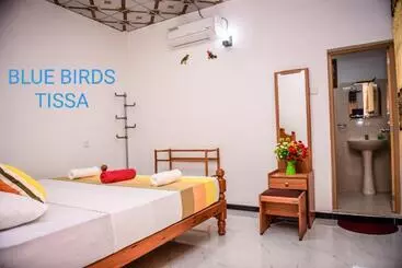 Pension  Blue Birds Tissa & Yala Safari