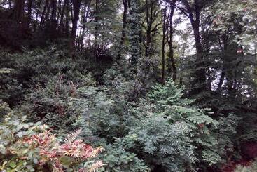 Общежитие Posada Solar Montero De La Concha