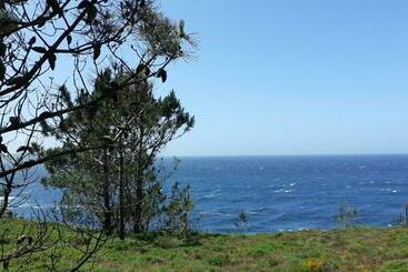 פנסיון Hostal Restaurante Pinarejo