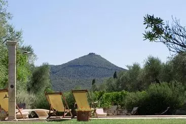 ホテル Agriturismo Tra Gli Ulivi, Chiappini
