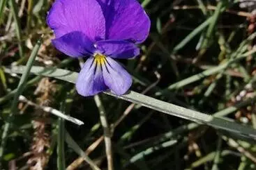 Majatalo Guest House Caracas