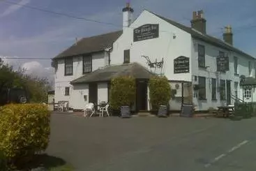 هاستل The Plough Inn Ripple