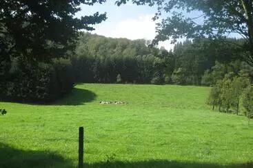 Pension Gästehaus Waldhof