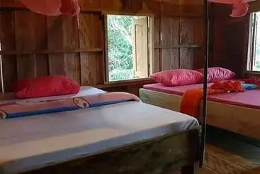 ユースホステル Tree Lodge Banlung