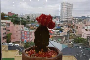 Pension White Windmill Guesthouse