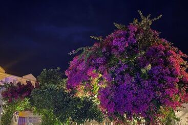 Aparthotel Grandma S Garden