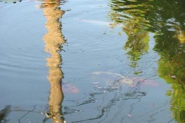 פנסיון Casa Toma