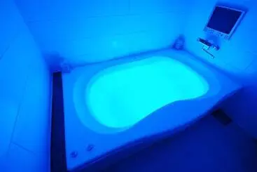 Hotel Vanilla Resort Kawagoe   Adults Only