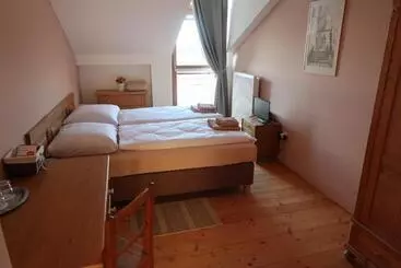 Pension Penzion Jízdárna Suchá