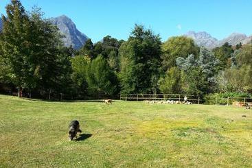 Pension Glasshouse In The Winelands