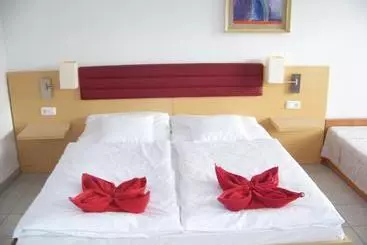 ペンション Alpesi Apartman Downtown