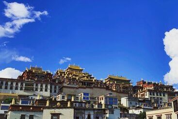 膳宿费 Bodhi Boutique Inn