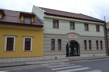 Pensione Althann Vendégház és Konferencia Központ