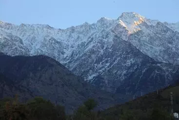 ホテル Ashiana Palampur