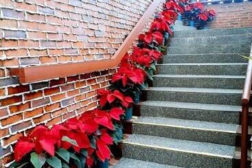 Pensão Martha S Rooms