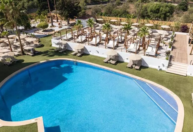 Отель Ankaa   Adults Only Over 14