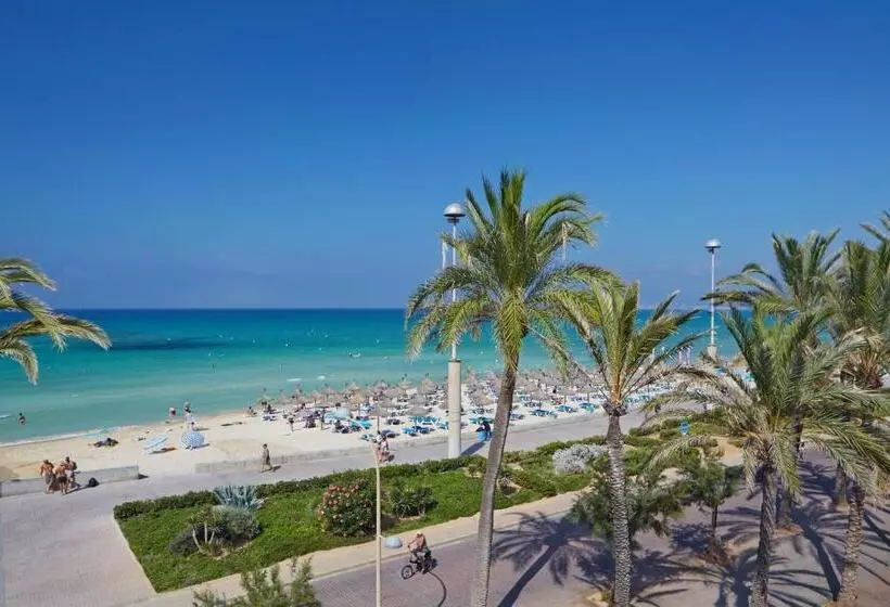 Отель Myseahouse Flamingo - Adults Only 4* Sup