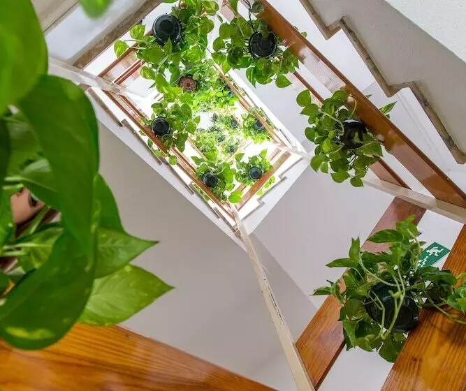 בית מלון כפרי Olympia Ronda I