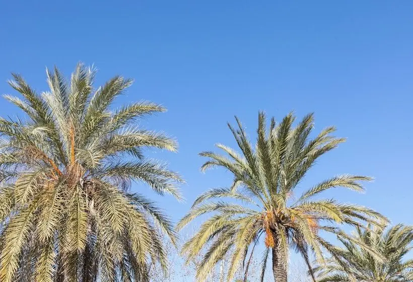 Hotel Senator Port Maó