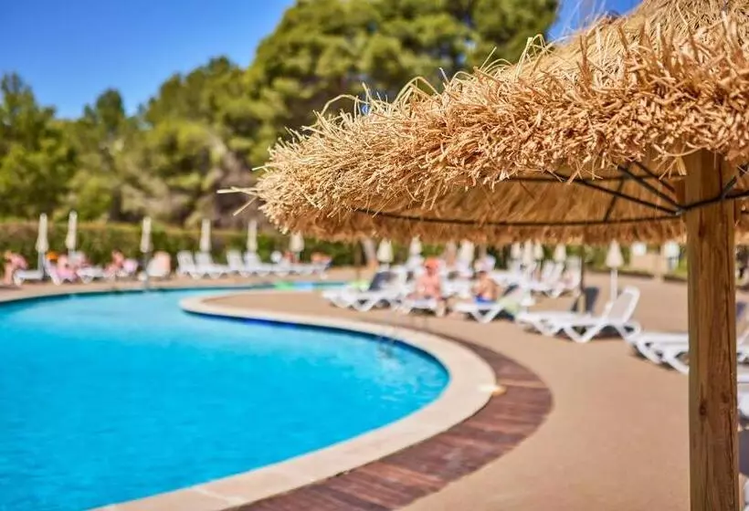 فندق tent Palmanova