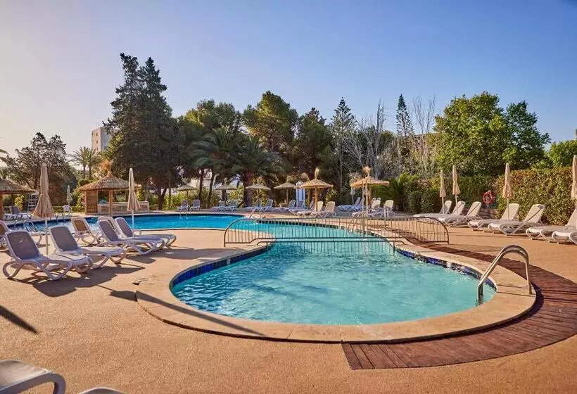 فندق tent Palmanova