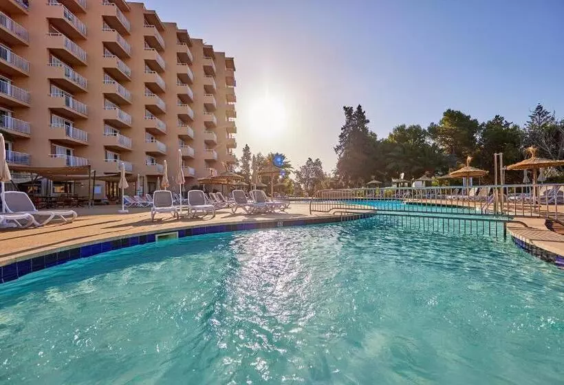 فندق tent Palmanova