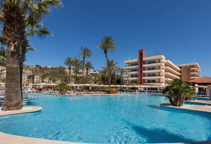 酒店 Zafiro Rey Don Jaime