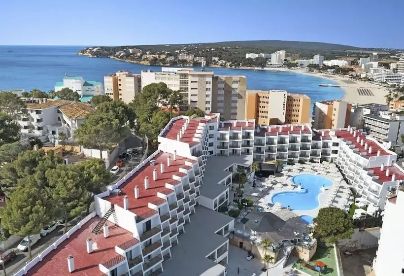 Palmanova Suites By Trh