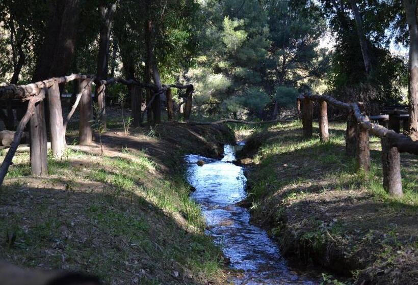 בית מלון כפרי Central