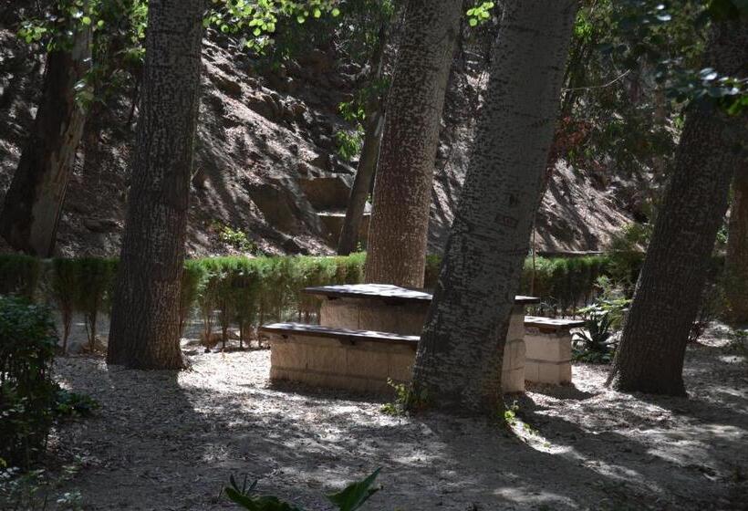 בית מלון כפרי Central